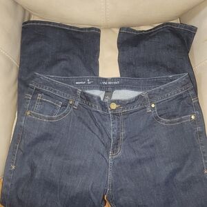 Lane Bryant Genius Fit Boot Cut Jeans